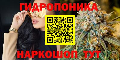 каннабис Берёзовский