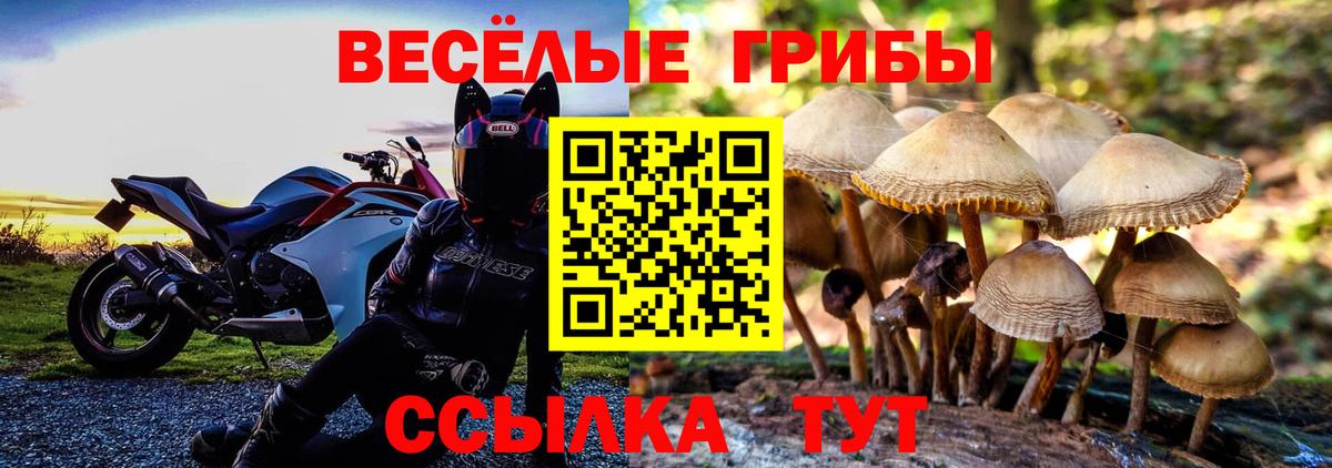 Коломна  где купить   Вход с VPN  Псилоцибиновые грибы ЛСД 