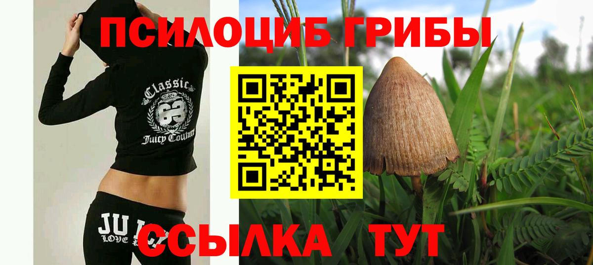 Псилоцибиновые грибы мицелий Коломна