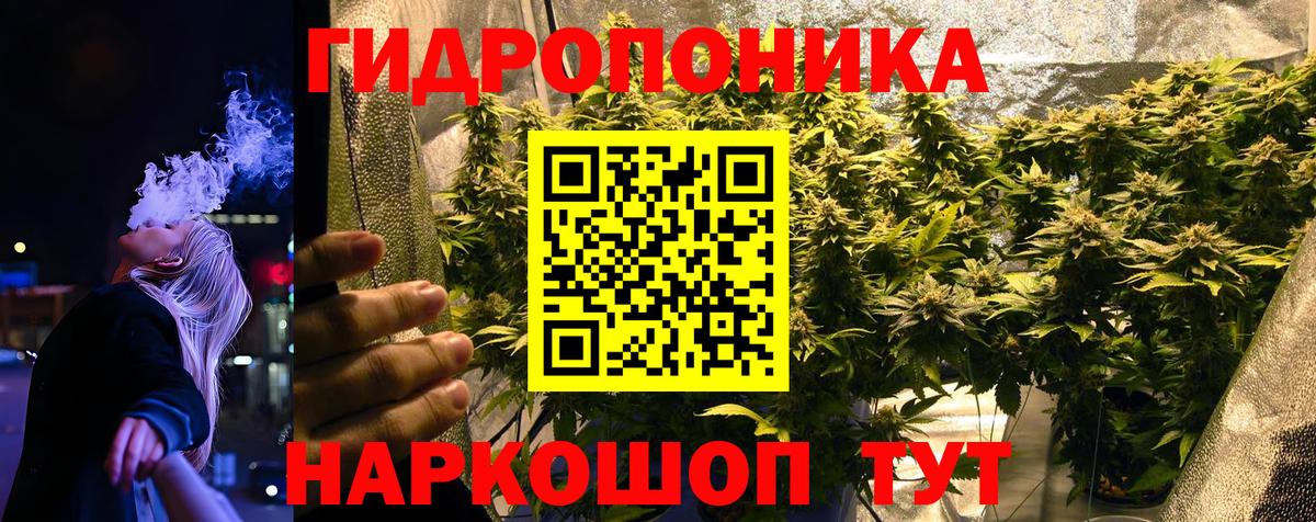 Каннабис SATIVA & INDICA Коломна